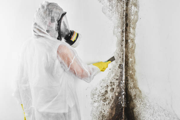 Best Mold Testing  in Oakdale, CA