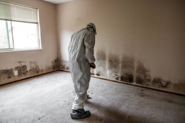 Best Office Mold Removal Services  in Oakdale, CA
