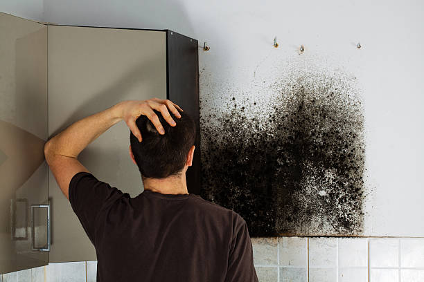 Best Certified Mold Removal  in Oakdale, CA