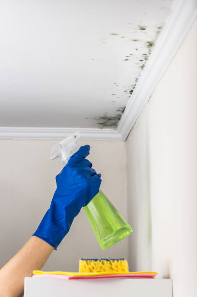 Best Residential Mold Removal  in Oakdale, CA